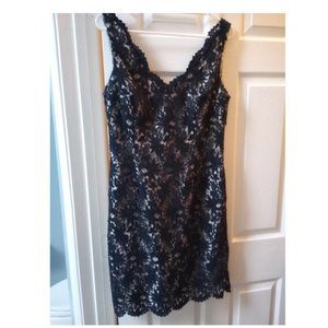 Ann Taylor Loft Dress